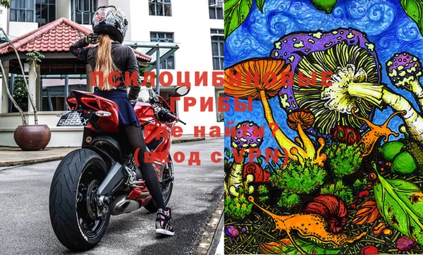 не бодяженный Армянск