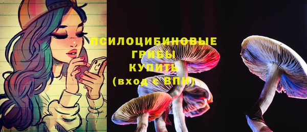 не бодяженный Армянск