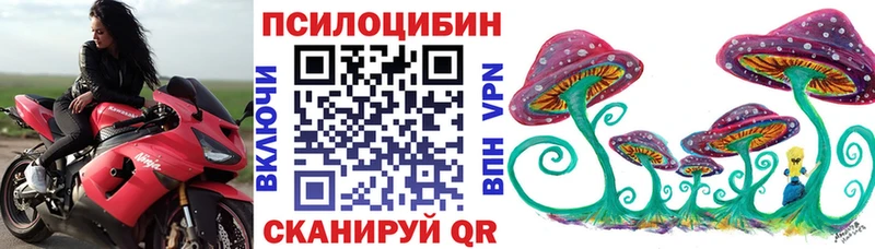Псилоцибиновые грибы мицелий  Грайворон 