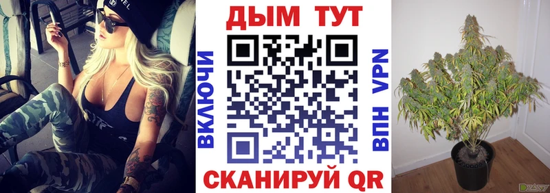 Шишки марихуана THC 21%  Грайворон 